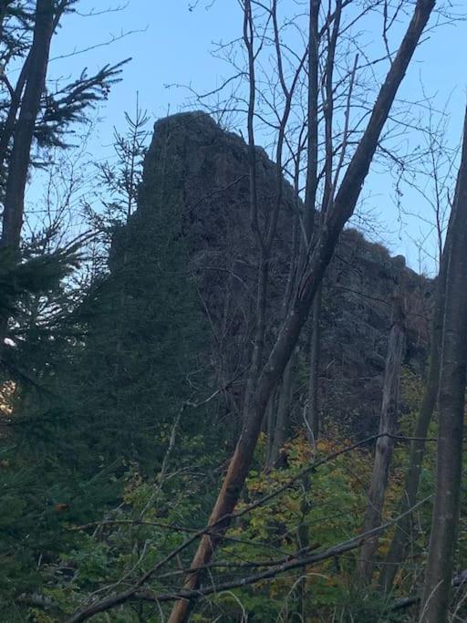 Jermerstein-Haeuschen Braunlage Eksteriør billede