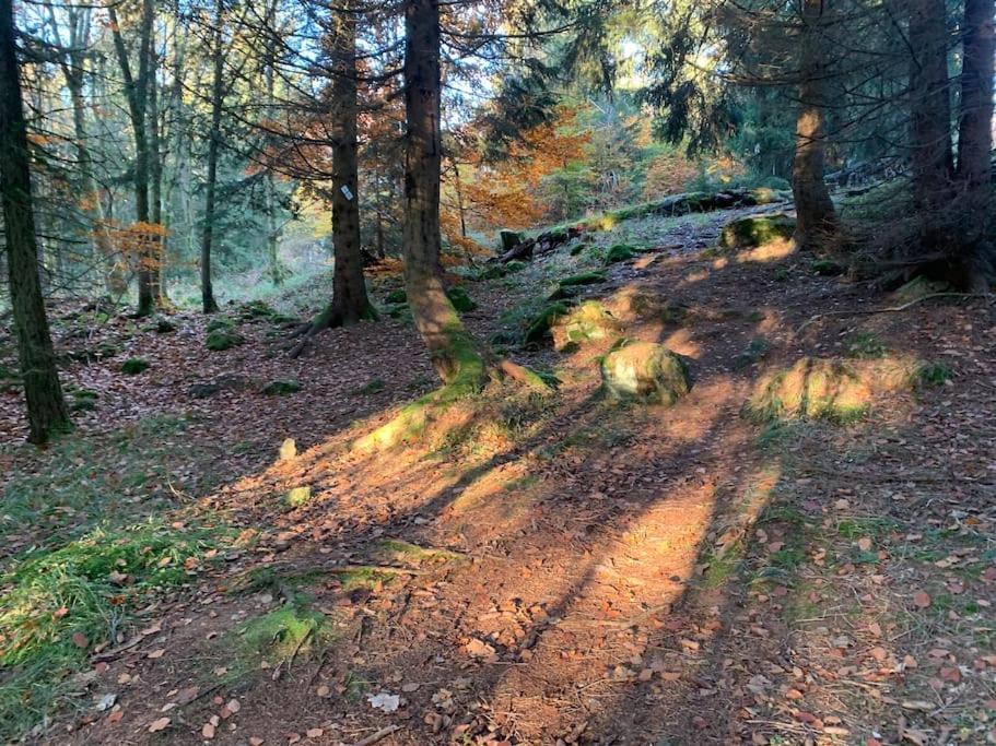 Jermerstein-Haeuschen Braunlage Eksteriør billede