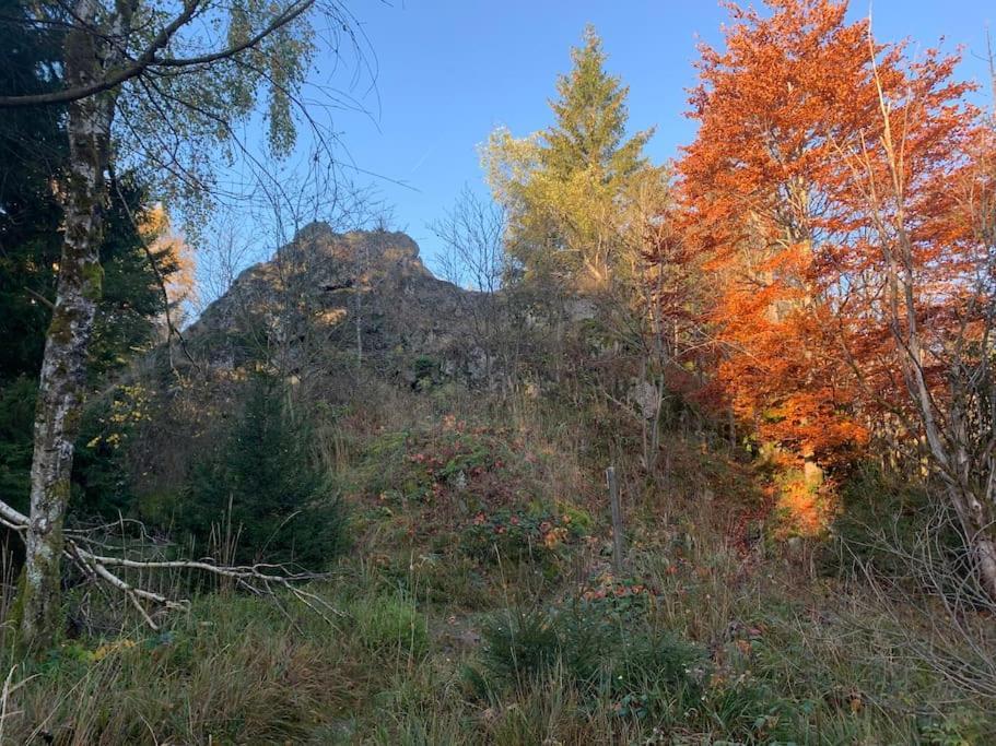 Jermerstein-Haeuschen Braunlage Eksteriør billede
